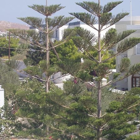 Manos Apartments Mégas Yialós-Nítes Esterno foto